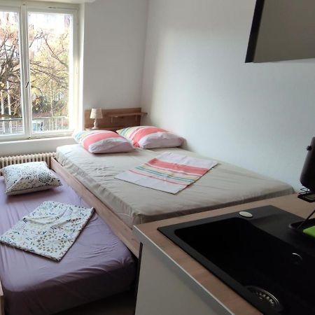 Studios ImmoStrazburg Dış mekan fotoğraf
