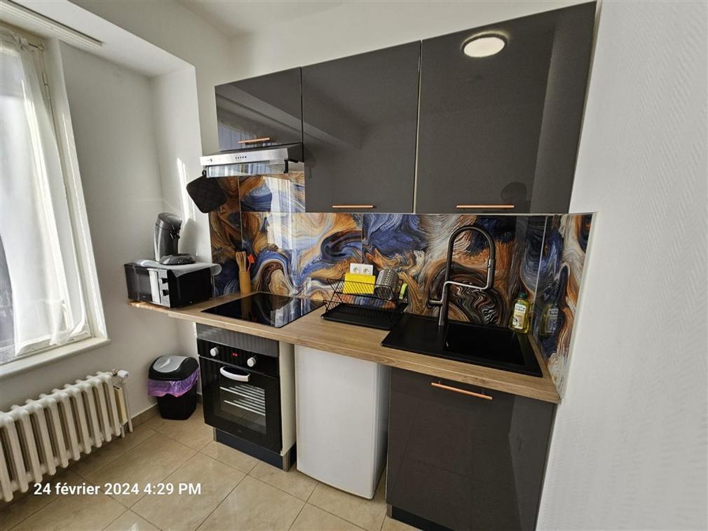Studios ImmoStrazburg Dış mekan fotoğraf