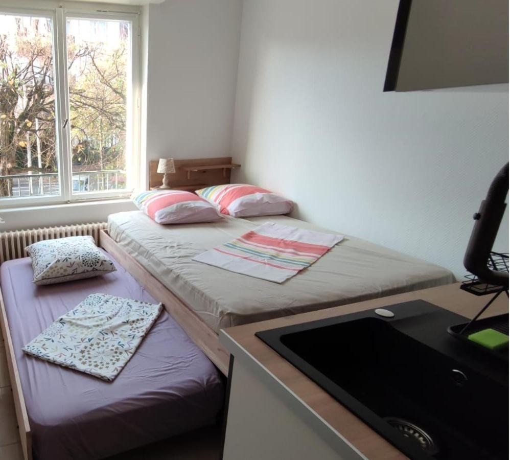 Studios ImmoStrazburg Dış mekan fotoğraf